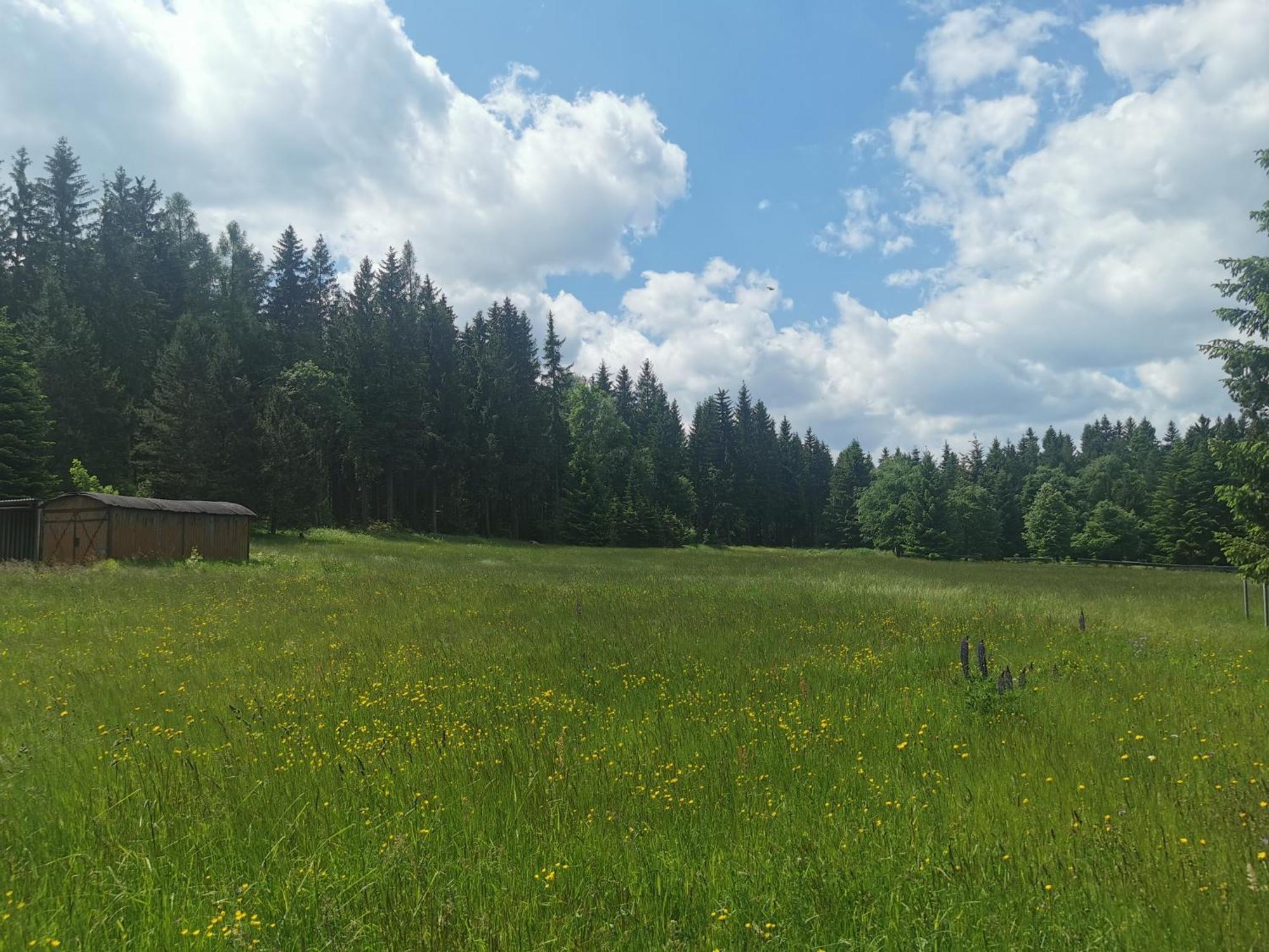 Berghaus Am Felsbruch Oberwiesenthal Ot Hammerunterwiesenthal Kültér fotó