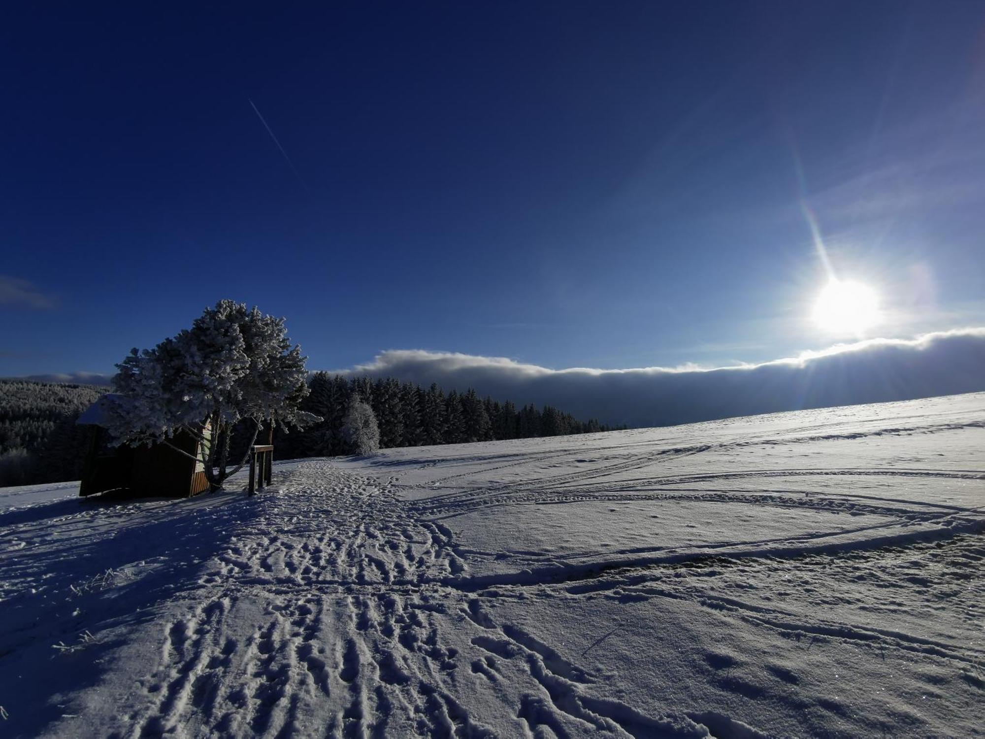 Berghaus Am Felsbruch Oberwiesenthal Ot Hammerunterwiesenthal Kültér fotó